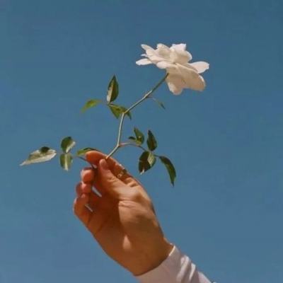 天谕手游哔哩哔哩版下载